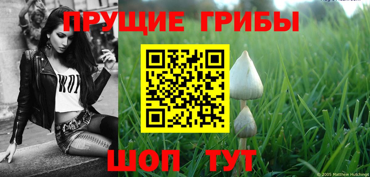 где продают наркотики  Псилоцибиновые грибы прущие грибы  Вход с VPN  Тимашёвск 